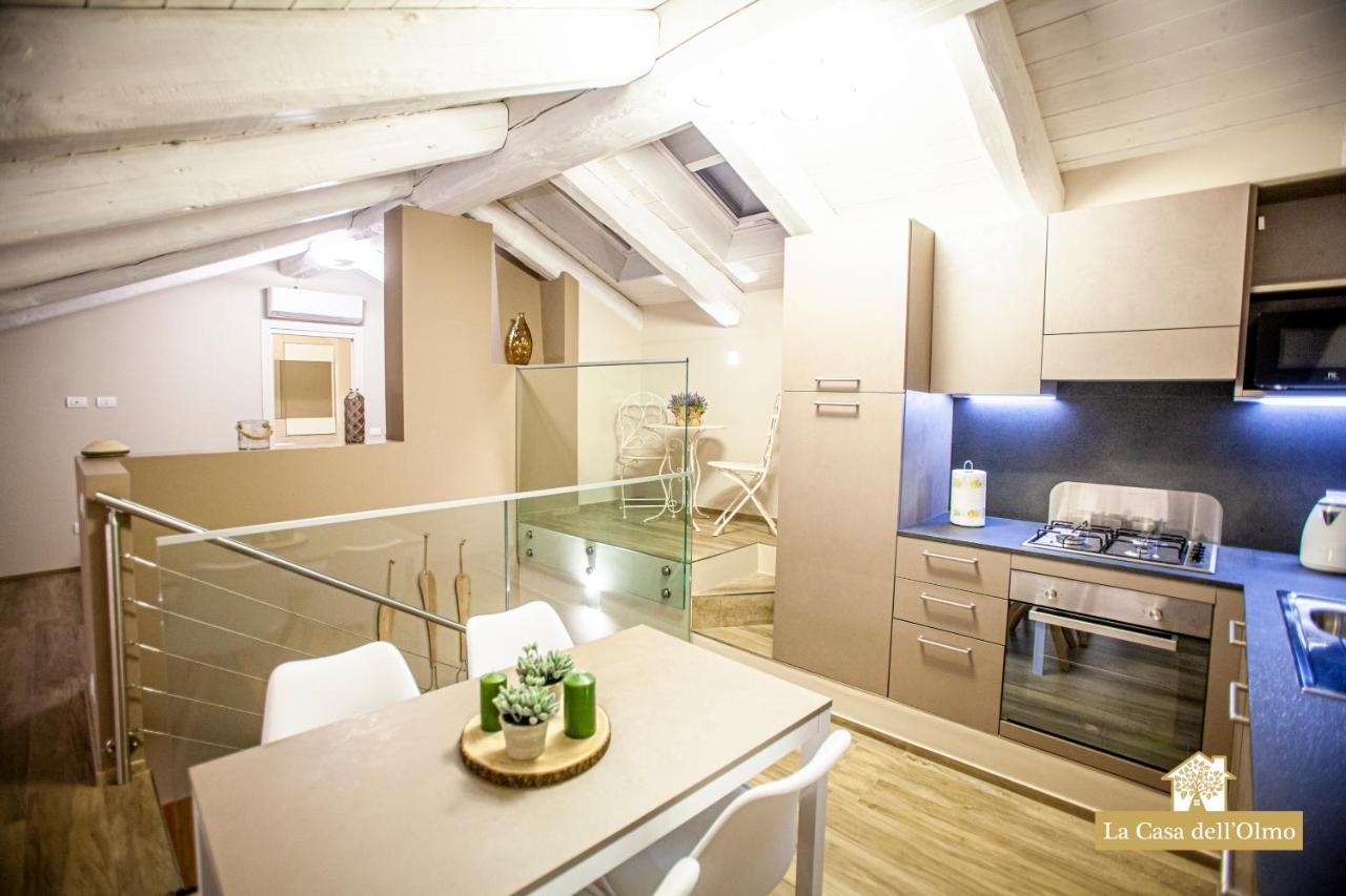 La Casa Dell'Olmo - Suite Apartment クーネオ エクステリア 写真