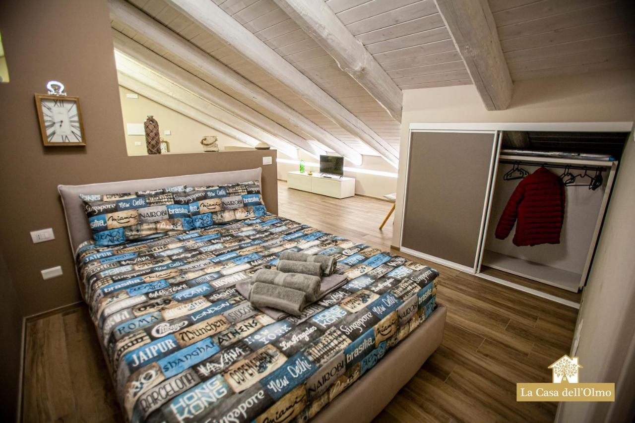 La Casa Dell'Olmo - Suite Apartment クーネオ エクステリア 写真